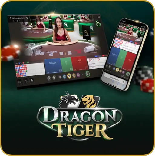 Live Dragon Tiger at Bigwin